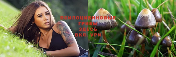 герыч Горнозаводск