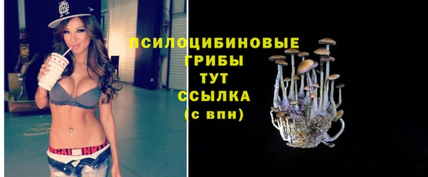 гашик Нефтегорск