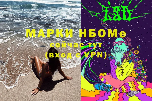 стафф Новокубанск