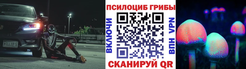 ОМГ ОМГ ссылка  Пустошка  Галлюциногенные грибы мицелий 