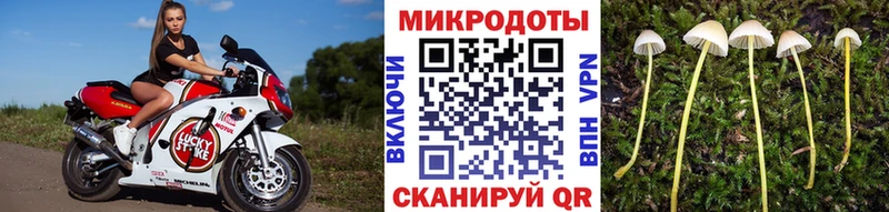 Галлюциногенные грибы Magic Shrooms Пустошка